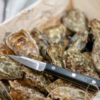 ROMPEMARISCOS, TENAZAS Y ABREOSTRAS