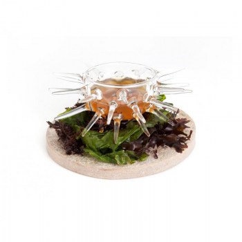 BOL ERIZO BOROSILICATO 7X6 CM 125 CL1.jpg