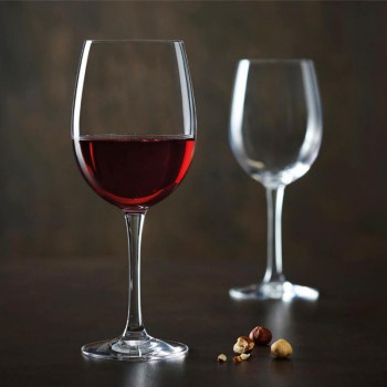 CABERNET TULIPE0.jpg