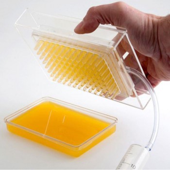 CAJA CAVIAR PARA ESFERIFICAR 0.jpg