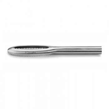 ESCAMADOR PESCADO INOX 24 CM0.jpg