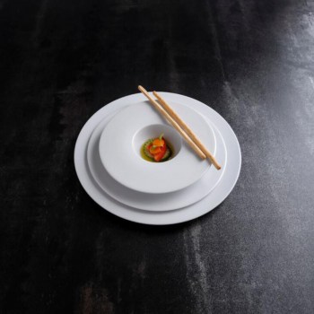 SATURNO PLATO GOURMET 25 CM1.jpg