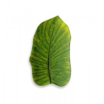 TOUCHMEL YORK FLOREARE BANDEJA 37X23 CM0.jpg