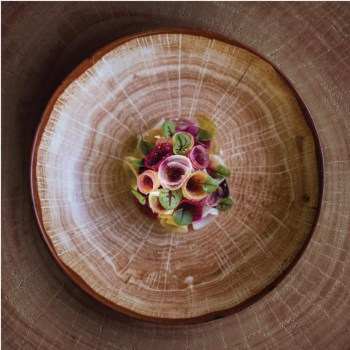 WOODART VAJILLA TRONCO0.jpg
